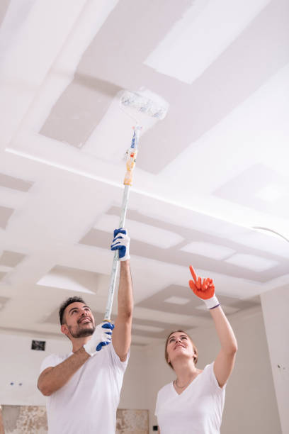 Best Water Damage & Mold Remediation  in Ocean Springs, MS