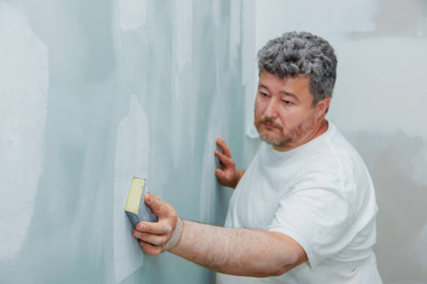Best Basement Mold Removal  in Ocean Springs, MS